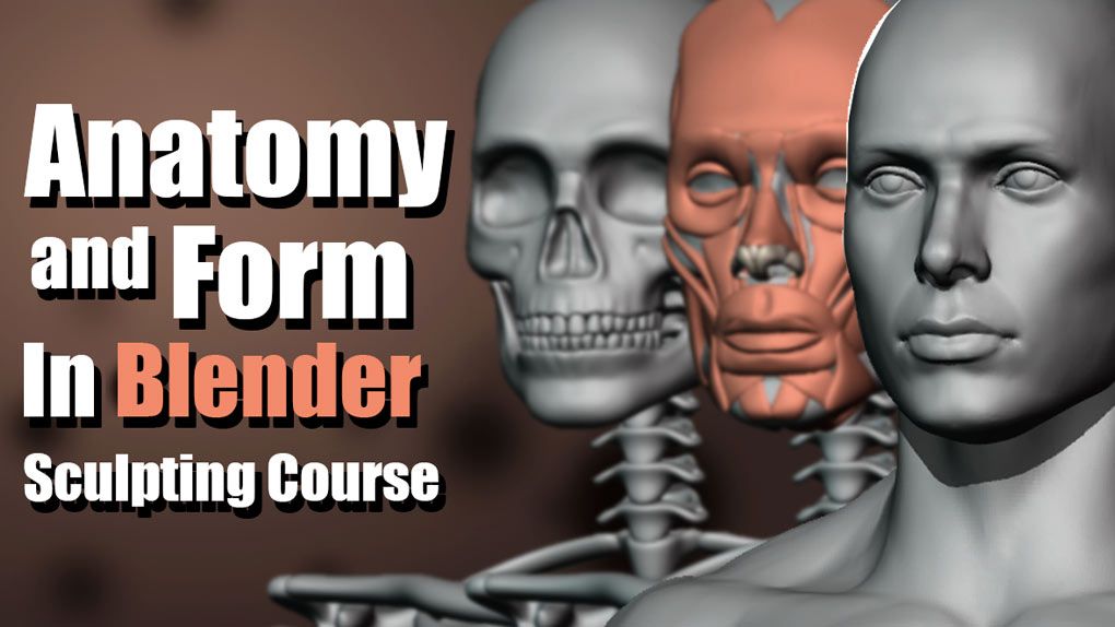 Blender男性人体解剖形态全身造型雕刻技术视频教程 Anatomy and Form in Blender - Sculpting Course