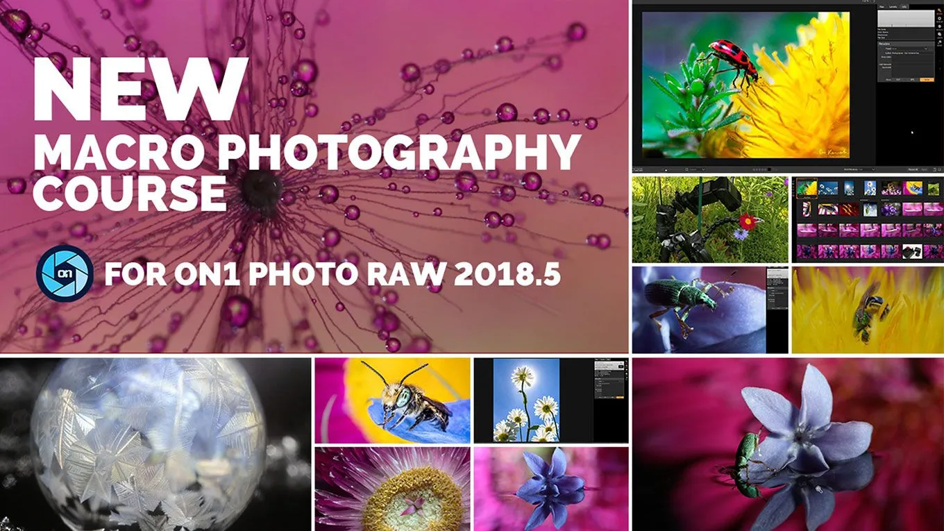 摄影师Don Komarechka的微距宏观摄影课程 中英字幕