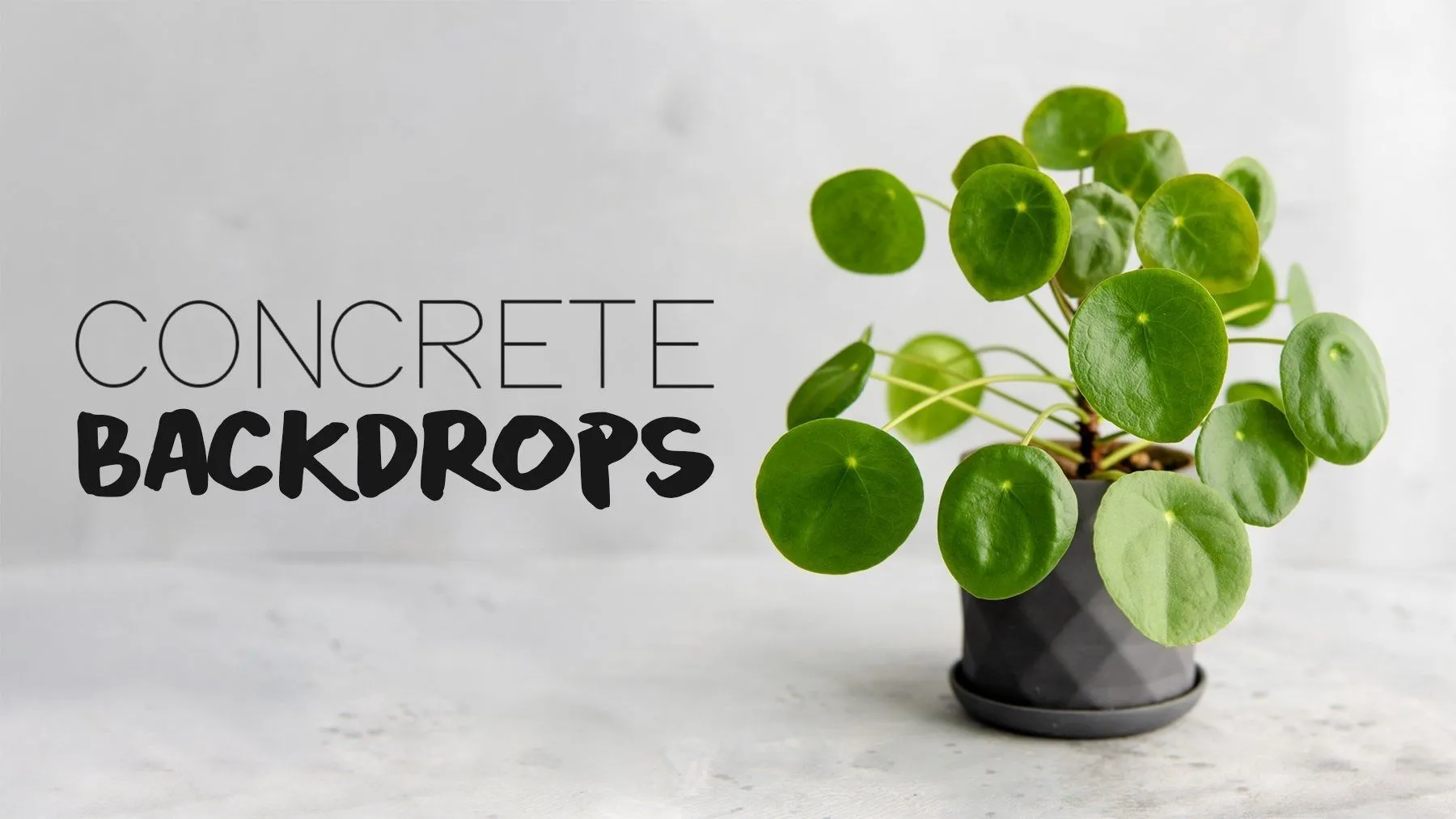 Tabitha Park产品DIY摄影质感混凝土背景塑造教程 中文字幕 DIY Concrete-Look Backdrops for Product Photography with Tabitha Park