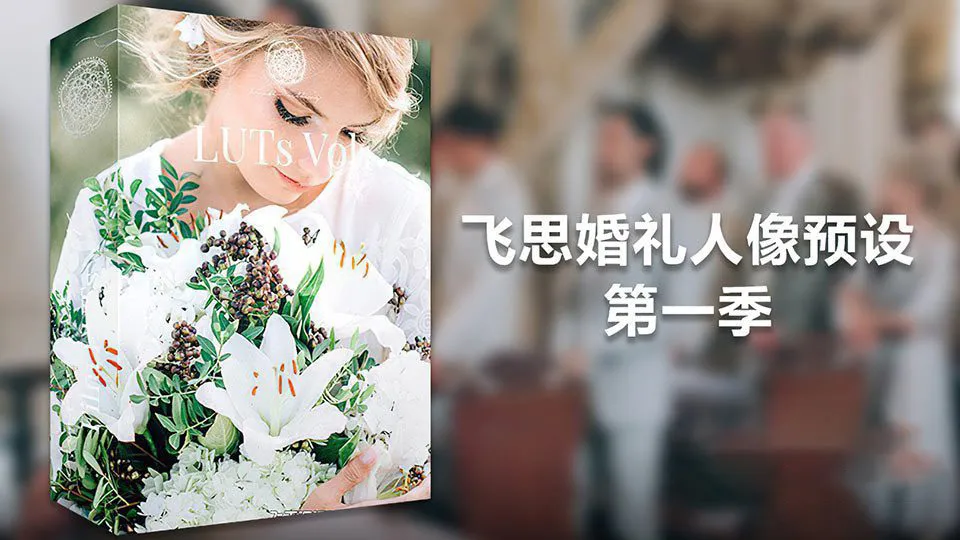 飞思婚礼人像预设第一季-KREATIV WEDDING LUTS VOL 1