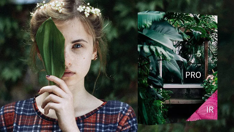 最先进的真实模拟电影胶片情绪美学飞思Capture One风格预设合集