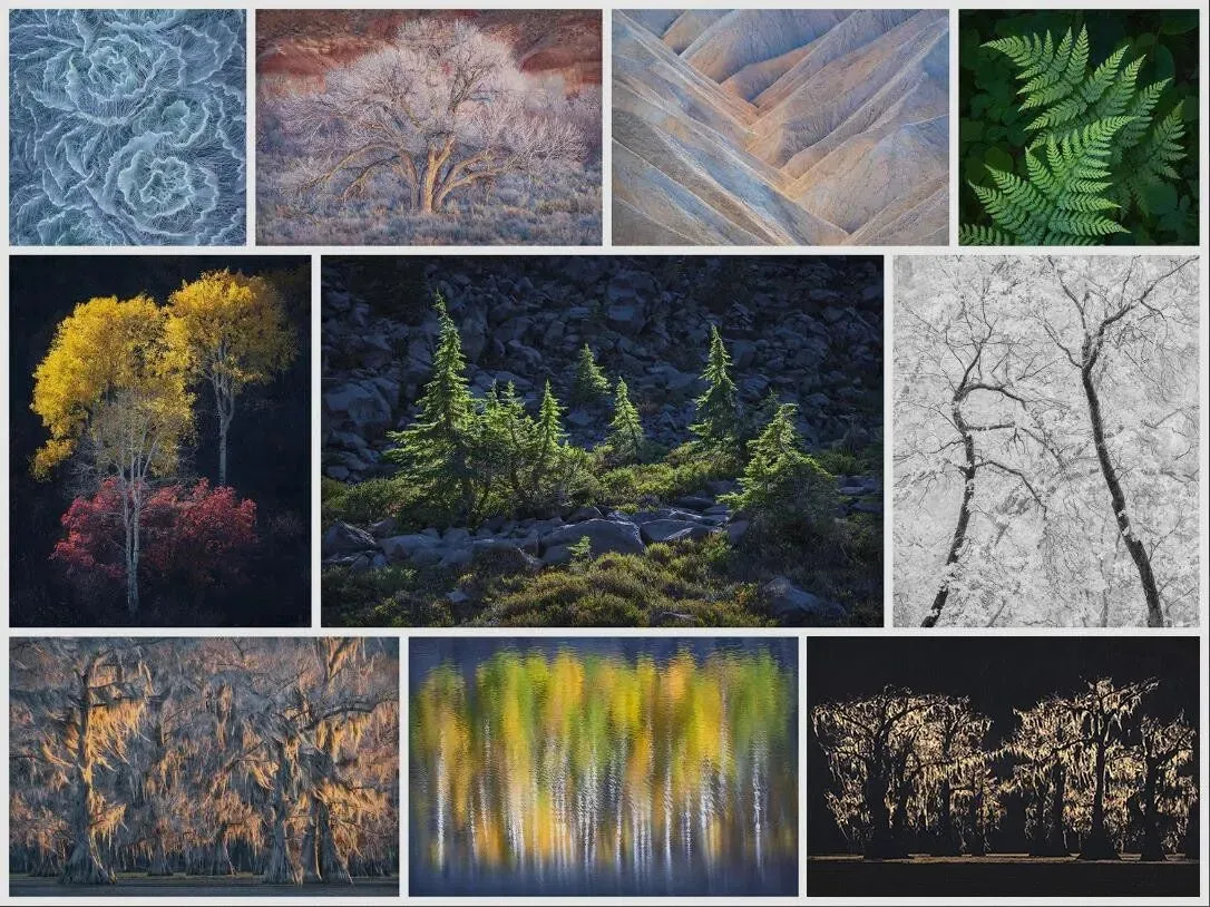 风光摄影师Alex Noriega风光摄影后期之《简单》10案例附素材 中文字幕