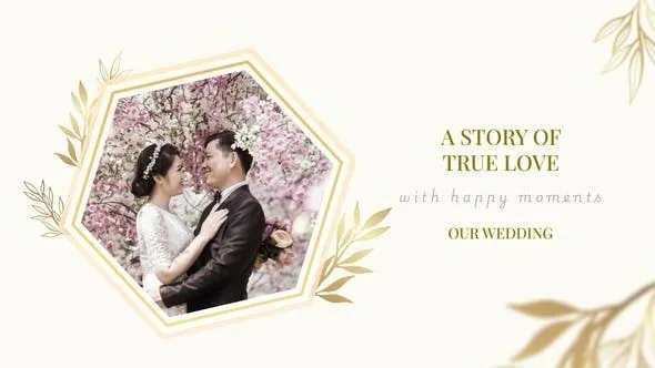 大气优雅婚礼邀请视频企业活动时尚庆典晚宴请柬温馨相册 Our Wedding