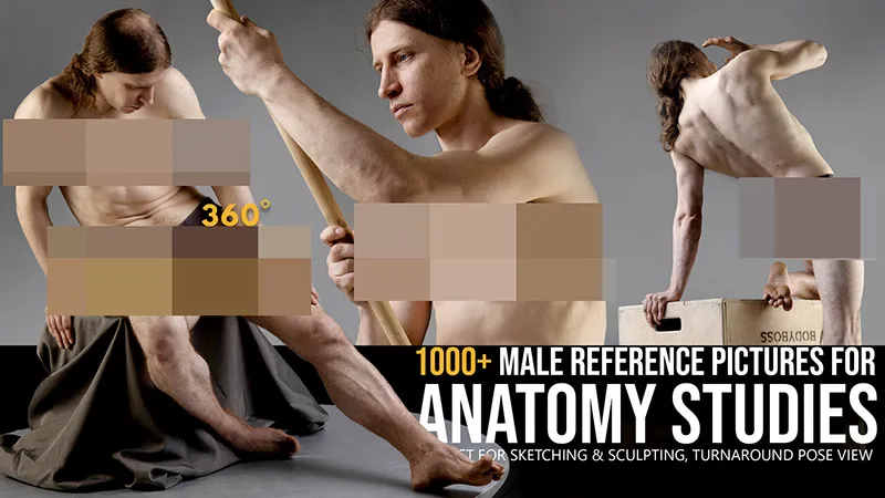 1000张男性旋转姿势解剖学研究高清参考图合集