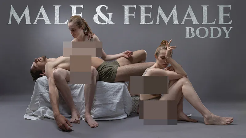 476张男性女性肖像身体姿势造型高清参考图合集