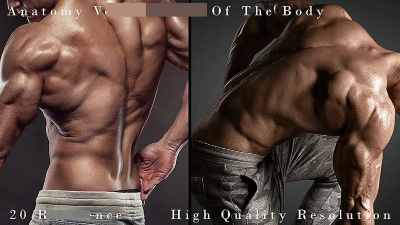 20张男性背部细节高清人体参考图合集