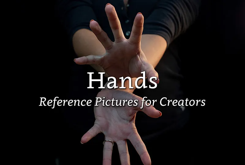 500组超精细男女性手部细节艺术参考高清照片合集