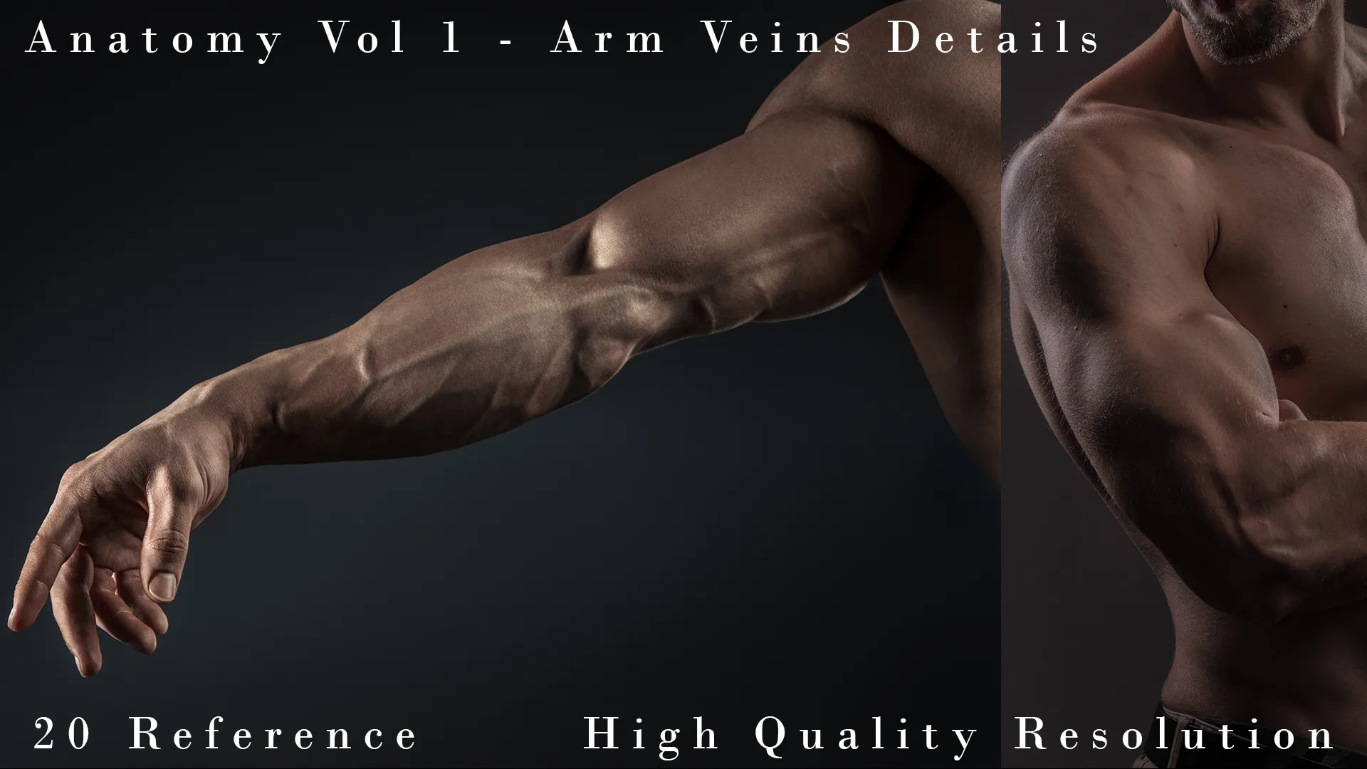 20张男性手臂躯干静脉细节高清参考图合集