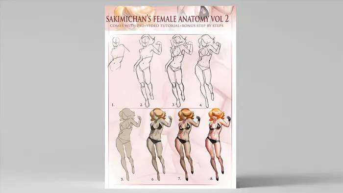 女性角色绘画设计完整剖析视频教程第二季 Gumroad Female Anatomy Volume 2 by Sakimi Chan