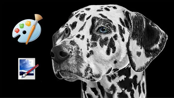 轻松数字绘画实例训练视频教程 LEARN THE SECRET OF DIGITAL DOG PAINTINGS USING MS PAINT