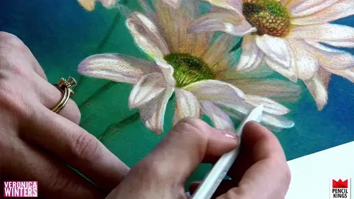 雏菊彩色铅笔绘画实例训练视频教程 How to Draw With Colored Pencils - Drawing Daisies