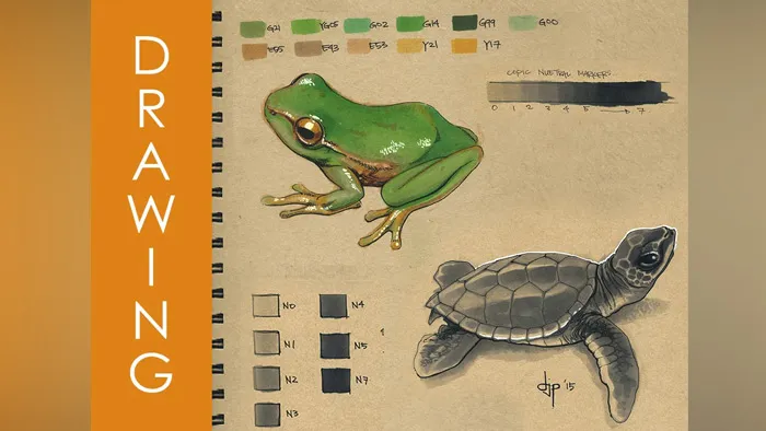 手绘色彩运用技巧实例训练视频教程 GUMROAD DRAWING WITH MARKER COLOR RENDERING PART 2 COLOR