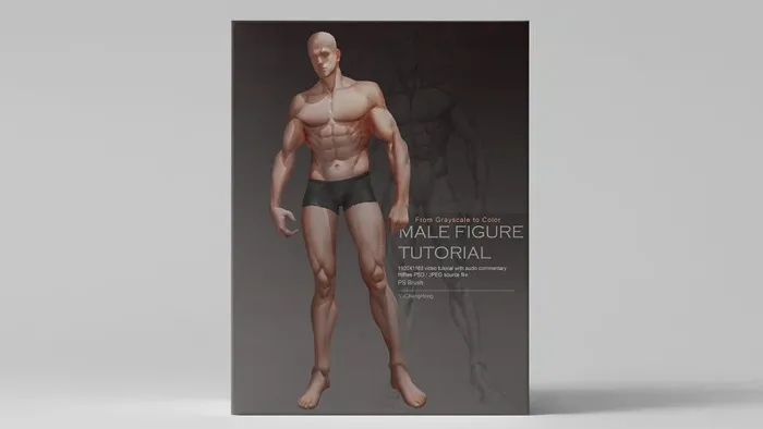 男性身体躯干数字绘画完整训练视频教程