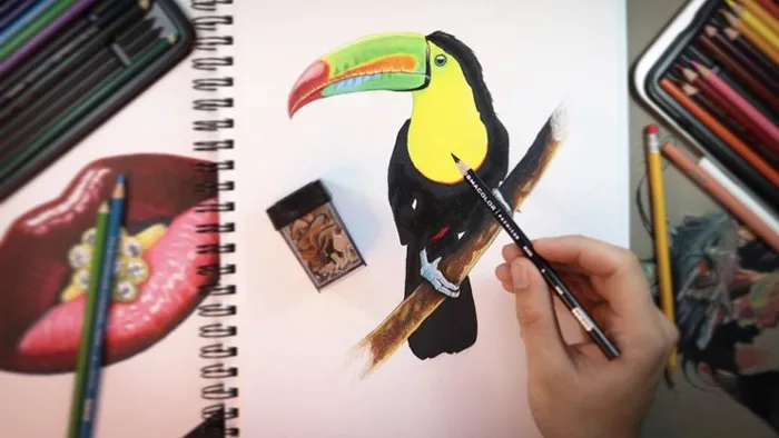 照片级传统彩色铅笔绘画实例训练视频教程 The Ultimate Photorealistic Drawing Course