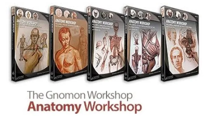 好莱坞艺术大师人体结构基础详细传统手绘教学时佩璞教程 The Gnomon Workshop Anatomy Workshop VOLUME 1-5