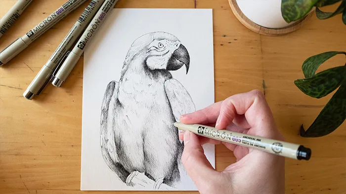 针管笔写实逼真动物传统手绘教程 Drawing with Pen 101: Creating Shape with Value and Texture