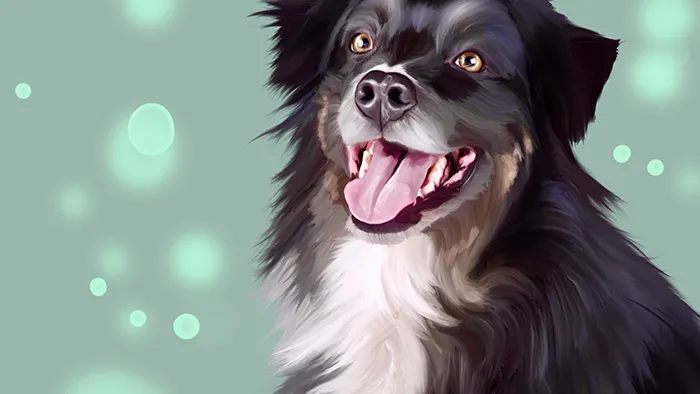Procreate宠物逼真写实可爱肖像数字绘画视频教程 Photos 2 pet portraits tutorial & brushes