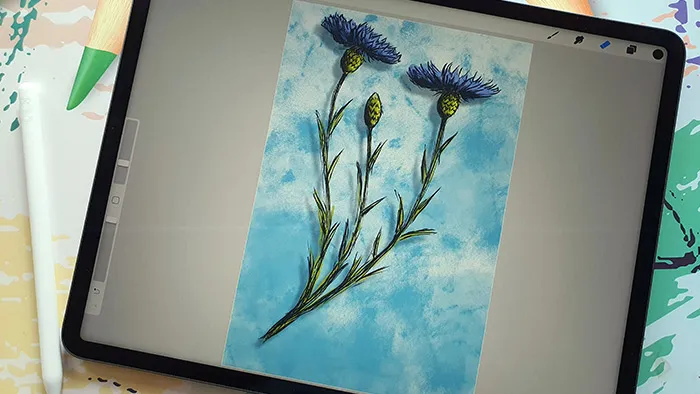 Procreate绘制可爱矢车菊素描涂鸦插画数字绘画视频教程 Skizzieren und knuddeln Spaß mit Cornflowers in Procreate