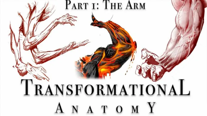 人像解剖学数字绘画系列教程之 - 手臂 Transformational Anatomy Part 1 – The Arm by Steven Zapata
