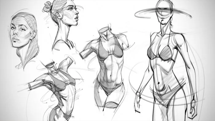 人体解剖学骨骼肌肉绘画完全指南视频教程 The Anatomy Survival Guide