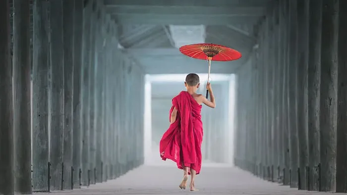 PHLearn Pro如何掌握Photoshop中的色彩和色调视频教程 How to Master Color & Tone in Photoshop