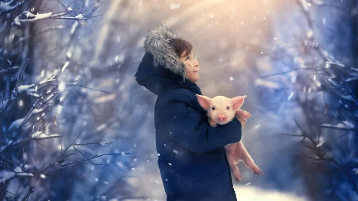 俄罗斯摄影师Anastasia Kuchina唯美冬季儿童摄影后期修饰PS视频教程