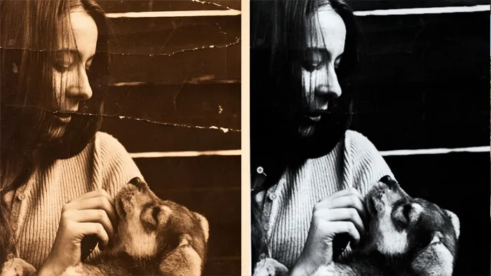 PS如何修复珍贵照片技术视频教程 Learning Photo Restoration with Photoshop