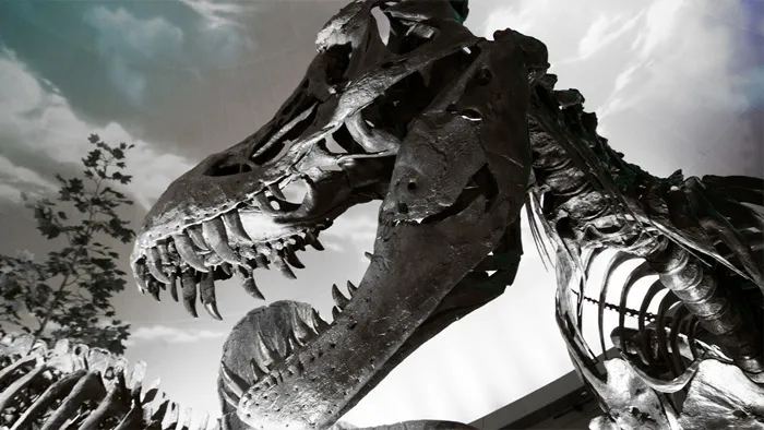 PS高效批处理自动化技术视频教程 Learning Photoshop Automation