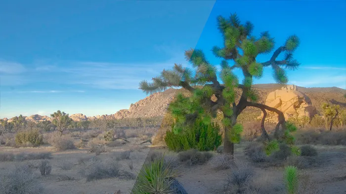 平面设计中LUTs调色预设使用技术视频教程 Creating Presets, LUTs, and Profiles for Photography