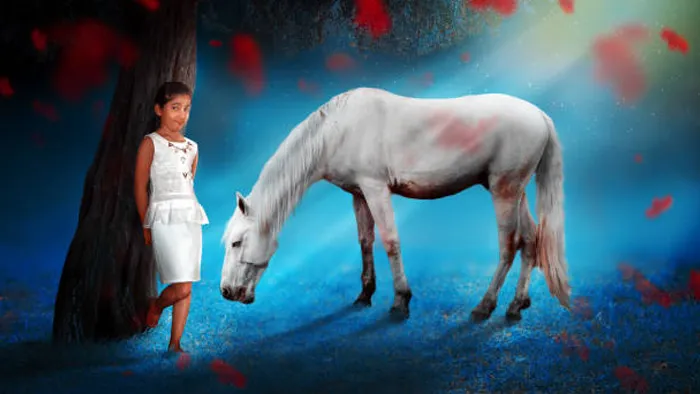 PS数字艺术后期合成修饰技巧视频教程 Udemy Photoshop Retouching-Learn