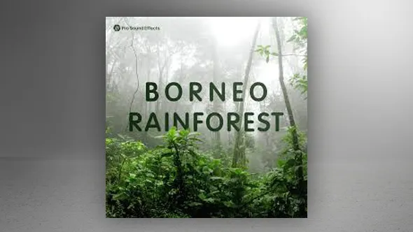 121种婆罗洲热带雨林雨水鸟兽动物昆虫自然环境无损音效 Pro Sound Effects – Borneo Rainforest