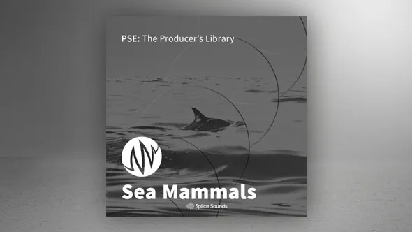 海豚海豹和鲸鱼等洋哺乳动物各种独特的声音 Sea Mammals: Cinematic Sample Pack by PSE: The Producer's Library