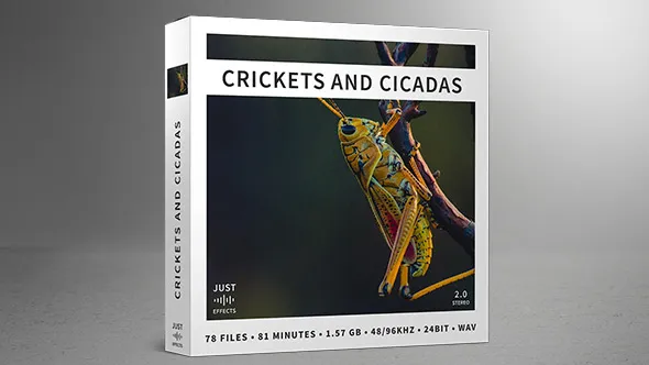 蚱蜢蟋蟀蝉等昆虫叫声田野树林夏日夜晚的背景声音下载 Crickets and Cicadas