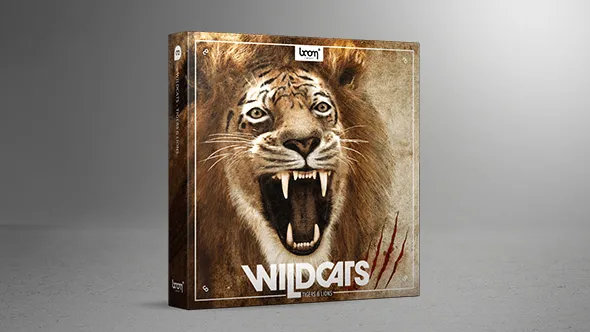 928种音效狮子老虎咆哮声嗅探声动画音效 Wildcats Tigers & Lions