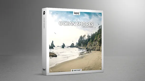 303种声音海边环绕大自然氛围鸟类波浪沙丘海鸥风声音效素材 OCEAN SHORES