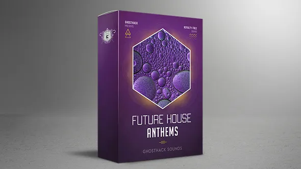 314个分层音轨声道人声乐器电子演奏伴奏Anthems配乐资源音效素材 Future House Anthems