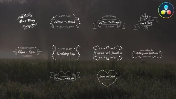 DR达芬奇模板-酷炫歌词封面邀请函婚礼文字标题动画 Wedding Titles DaVinci Resolve