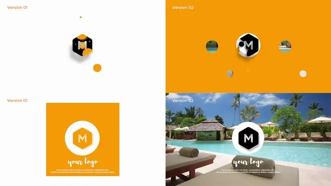 DR达芬奇模板3d优雅流畅标志LOGO动画 3d Elegant Logo Reveal