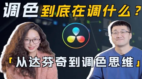 南门录像厅 达芬奇调色思维实战课 调色思路+调色理论+案例实战