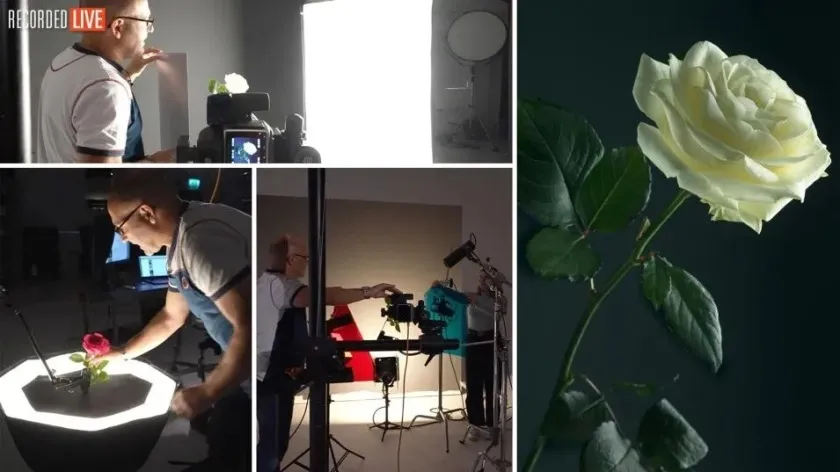 卡尔·泰勒 Karl Taylor 花卉美术摄影布光教程 中英字幕 Floral Fine Art Photography