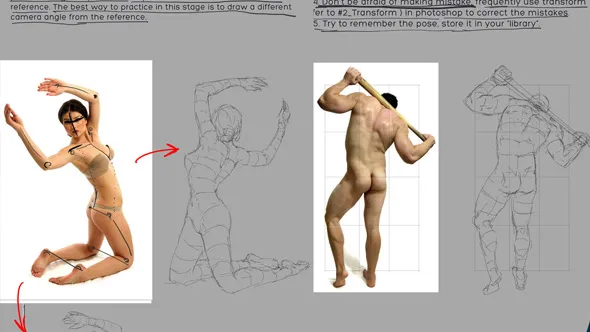 PS人体结构分解线条视频教程 Gumroad - WLOP - #9 Anatomy