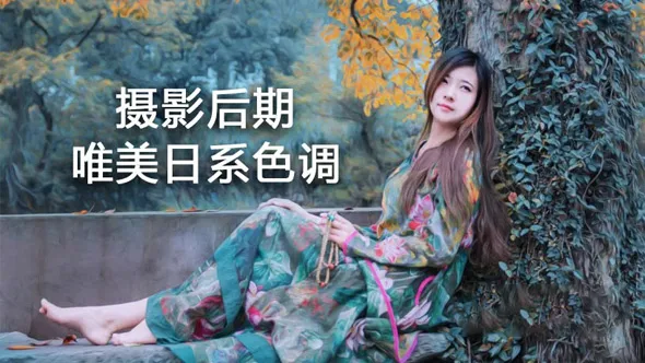 摄影后期唯美日系色调中文视频教程