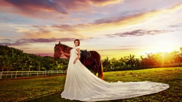 商业主题婚纱摄影后期修图5套教程合集中文视频教程