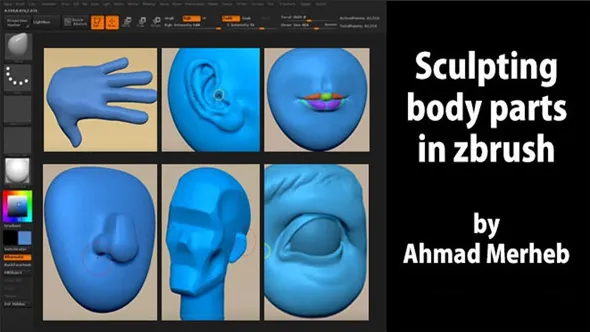 Zbrush人物脸部五官雕刻实例制作视频教程 中文字幕 Sculpting Body Parts in Zbrush For Animation