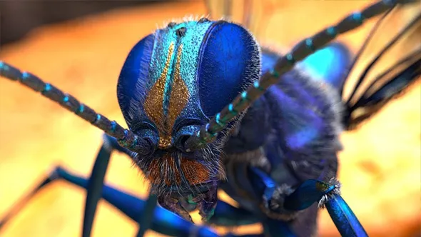 Zbrush超写实昆虫设计完整制作流程视频教程 Hyper realistic Insect Design with Eric Keller
