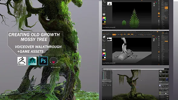 Zbrush古老苔藓树游戏资产制作全流程视频课程 中文字幕 Creating Old Growth Mossy Tree: Tutorial and Game Assets