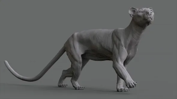 ZBrush逼真动物雕刻解剖学制作流程大师级视频教程 Animal Anatomy: Modeling a Fossa with Aritz Basauri