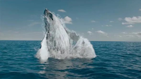 Houdini海洋水景特效制作大师级视频教程 Water FX in Houdini