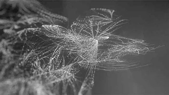 Houdini有机质感复杂抽象概念设计视频教程 Push Your Creativity in Houdini With Niels Prayer