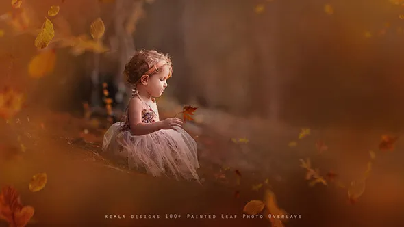 100张唯美秋季人像后期叠加合成素材 100+ Painted Leaf Photo Overlays